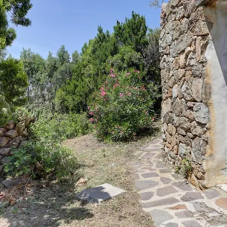 Maria - Capo D'orso - And